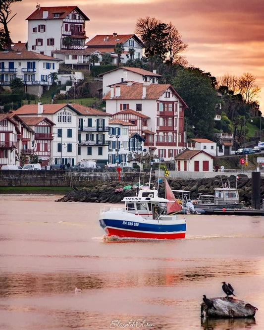 Guide vert Pays Basque