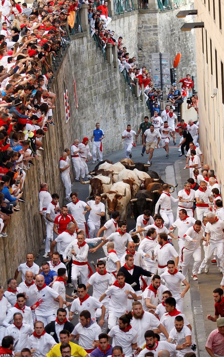 Fêtes de Bayonne – guide et souvenirs