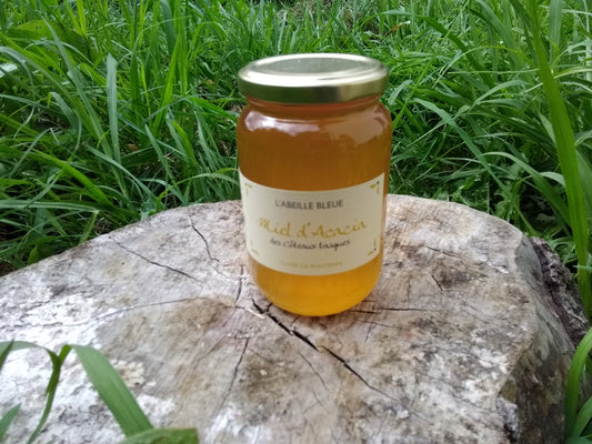 Miel Bio d’Acacia – Douceur du Pays Basque