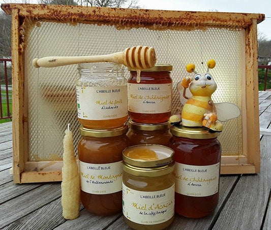 Miel Bio d’Acacia – Douceur du Pays Basque