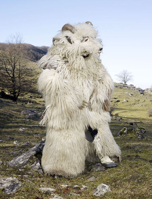 Gilet en Laine de Mouton – Tradition Basque