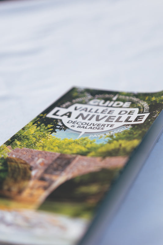 Le guide de Saint pée sur Nivelle