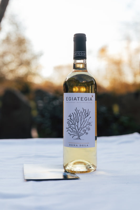 Vin Basque Egia Tegia