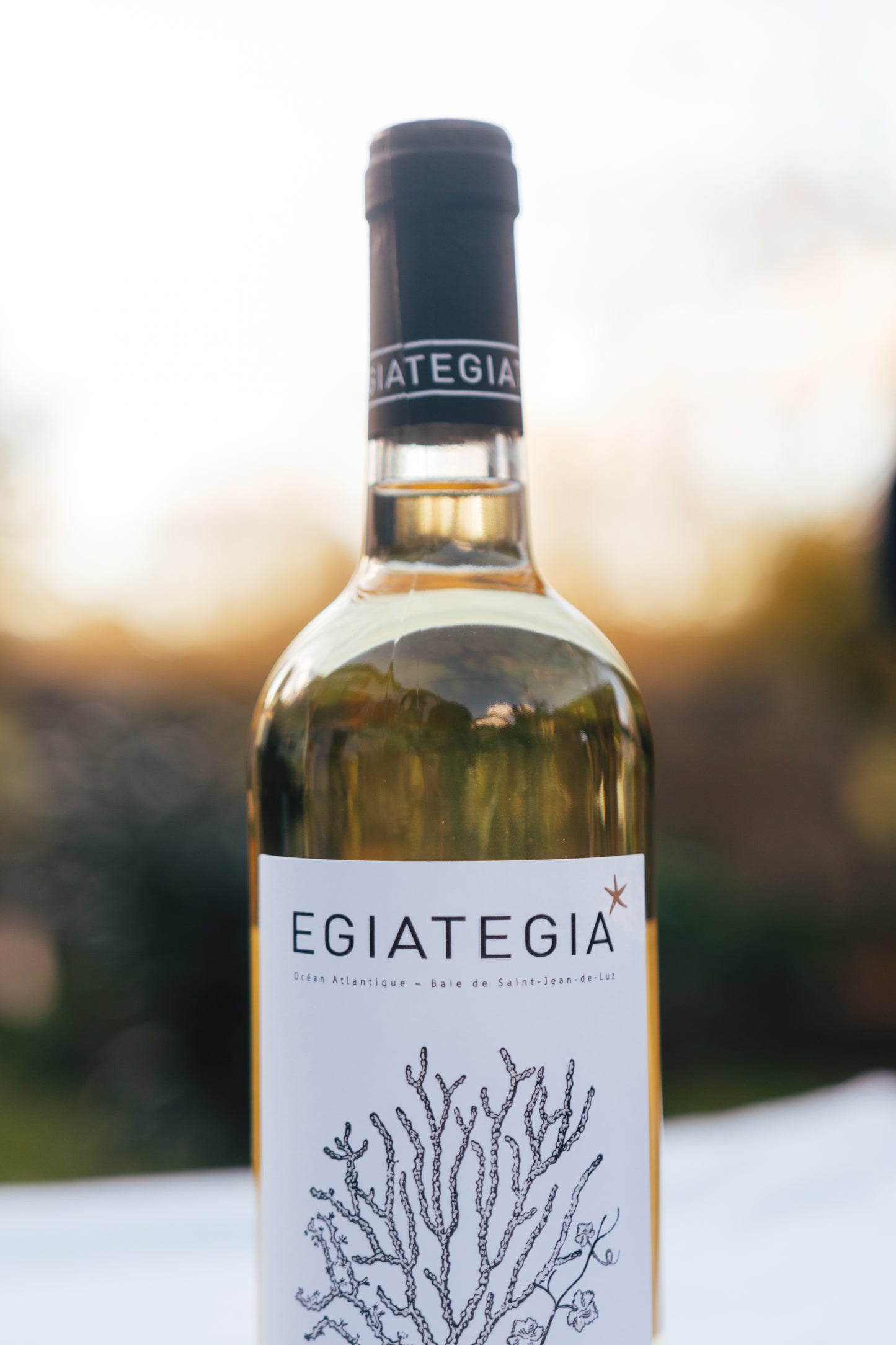 Vin Basque Egia Tegia