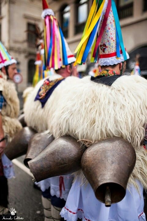 Gilet en Laine de Mouton – Tradition Basque