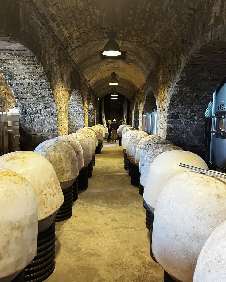 Vin basque Egia Tegia – Vinification sous-marine